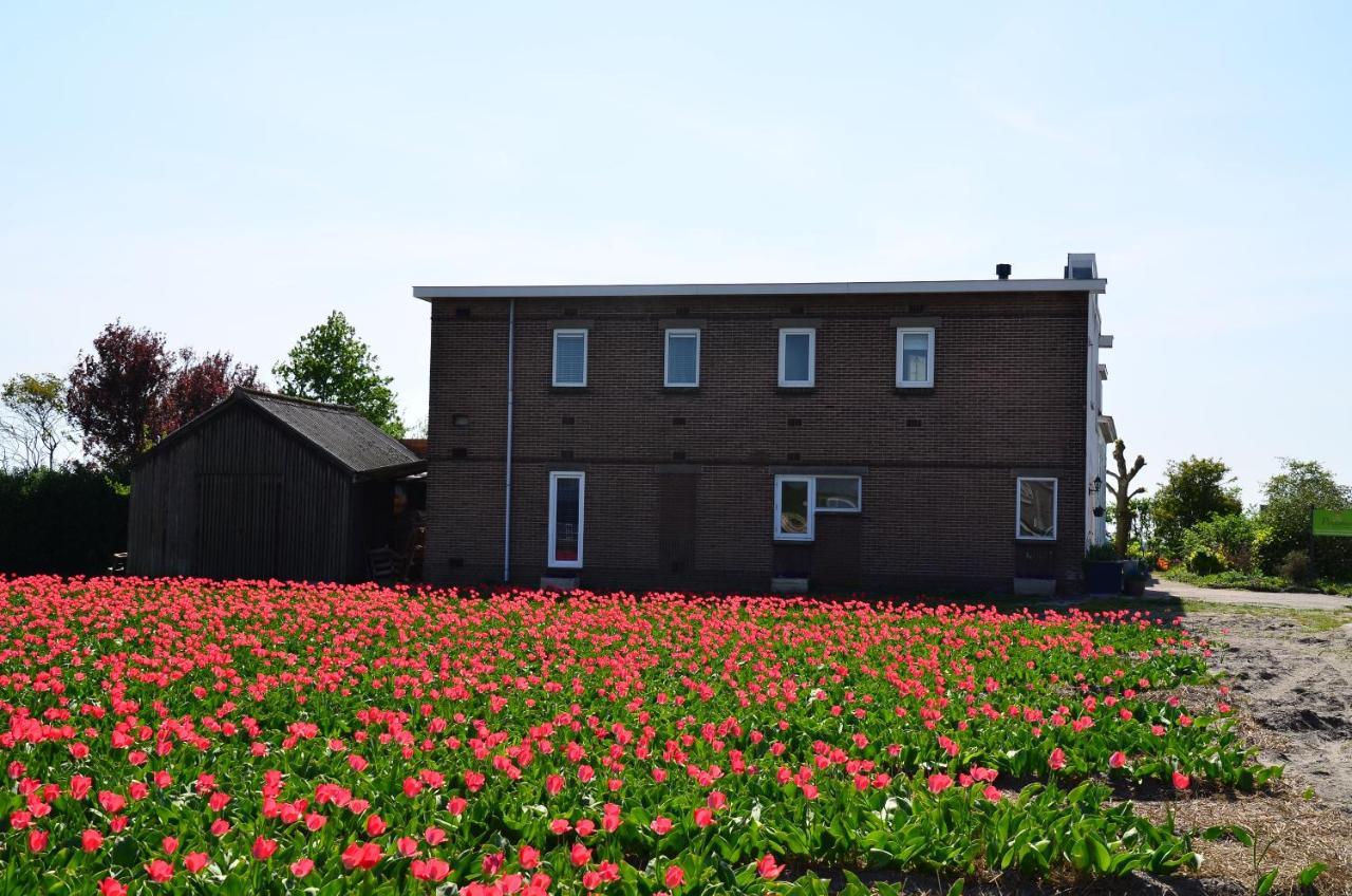 Wellness Bed & Breakfast Pergamo Voorhout Eksteriør billede